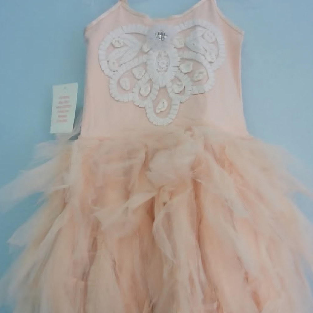 Tutu Du Monde Peach Tulle Formal Dress
